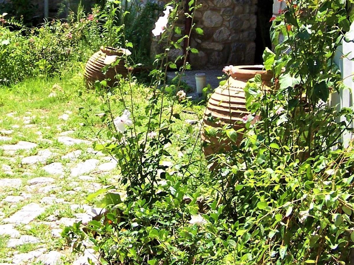 Ανεξαρτητο Studio Στο Ομορφο Καστορειο Kastorion المظهر الخارجي الصورة