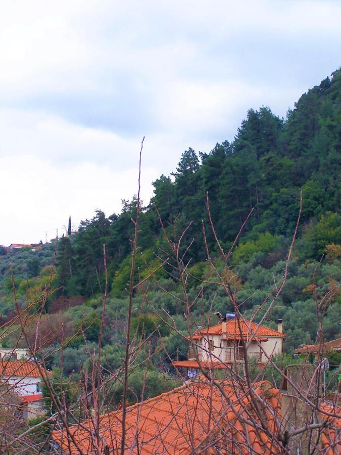 Ανεξαρτητο Studio Στο Ομορφο Καστορειο Kastorion المظهر الخارجي الصورة